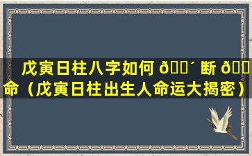 戊寅日柱八字如何 🌴 断 🐝 命（戊寅日柱出生人命运大揭密）